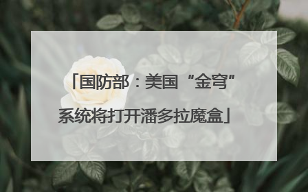 国防部：美国“金穹”系统将打开潘多拉魔盒
