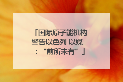 国际原子能机构警告以色列 以媒：“前所未有”