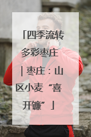 四季流转 多彩枣庄｜枣庄：山区小麦“喜开镰”