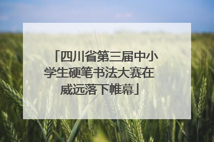 四川省第三届中小学生硬笔书法大赛在威远落下帷幕