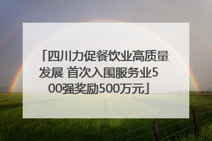 四川力促餐饮业高质量发展 首次入围服务业500强奖励500万元