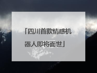 四川首款情感机器人即将面世