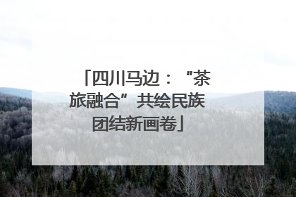 四川马边：“茶旅融合”共绘民族团结新画卷