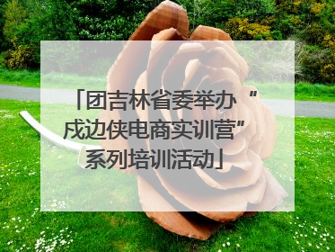 团吉林省委举办“戍边侠电商实训营”系列培训活动