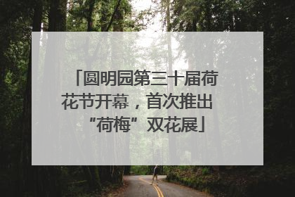 圆明园第三十届荷花节开幕，首次推出“荷梅”双花展