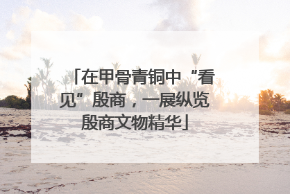 在甲骨青铜中“看见”殷商，一展纵览殷商文物精华