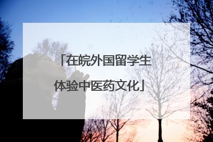 在皖外国留学生体验中医药文化