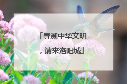 寻溯中华文明，请来洛阳城