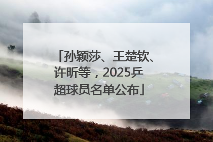 孙颖莎、王楚钦、许昕等，2025乒超球员名单公布