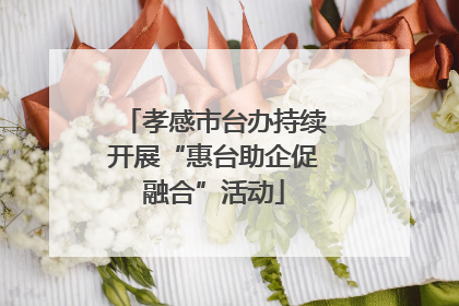 孝感市台办持续开展“惠台助企促融合”活动