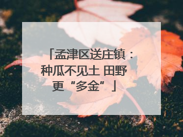 孟津区送庄镇：种瓜不见土 田野更“多金”