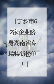 宁乡市62家企业跻身湖南省专精特新榜单！