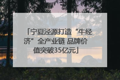 宁夏泾源打造“牛经济”全产业链 品牌价值突破35亿元