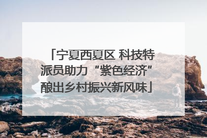 宁夏西夏区 科技特派员助力“紫色经济”酿出乡村振兴新风味
