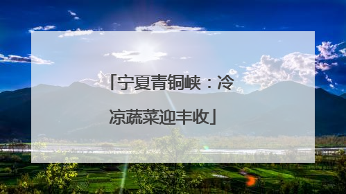 宁夏青铜峡：冷凉蔬菜迎丰收