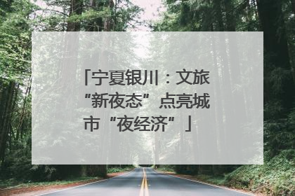宁夏银川：文旅“新夜态”点亮城市“夜经济”