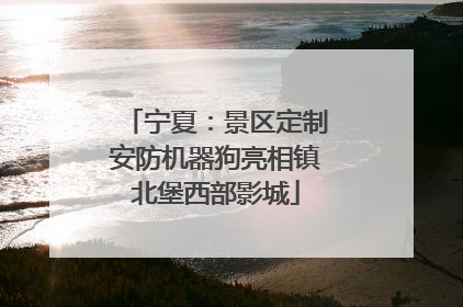 宁夏：景区定制安防机器狗亮相镇北堡西部影城