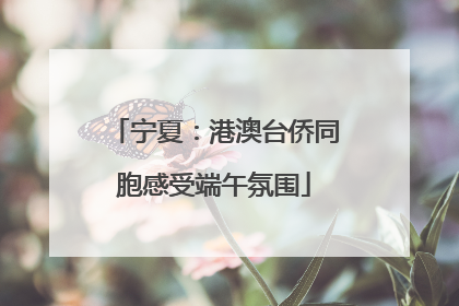 宁夏：港澳台侨同胞感受端午氛围