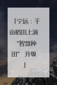 宁远：千亩稻田上演 “智慧种田” 升级