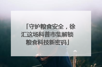 守护粮食安全，徐汇这场科普市集解锁粮食科技新密码