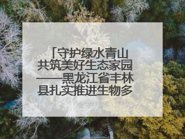 守护绿水青山 共筑美好生态家园——黑龙江省丰林县扎实推进生物多样性保护工作