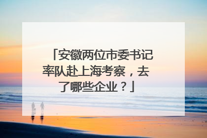 安徽两位市委书记率队赴上海考察，去了哪些企业？