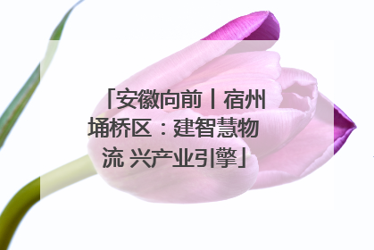 安徽向前丨宿州埇桥区：建智慧物流 兴产业引擎