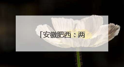 安徽肥西：两位上海人“链上”肥西的背后