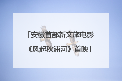 安徽首部新文旅电影《风起秋浦河》首映