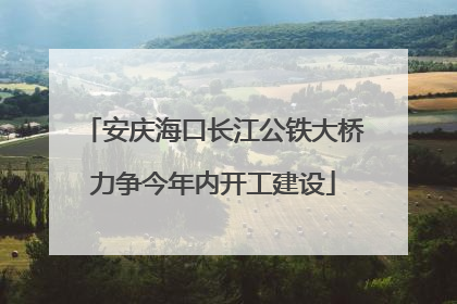 安庆海口长江公铁大桥力争今年内开工建设