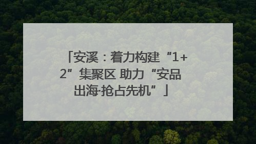 安溪：着力构建“1+2”集聚区 助力“安品出海·抢占先机”