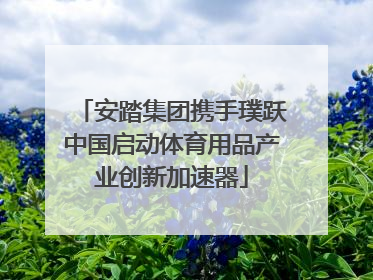 安踏集团携手璞跃中国启动体育用品产业创新加速器