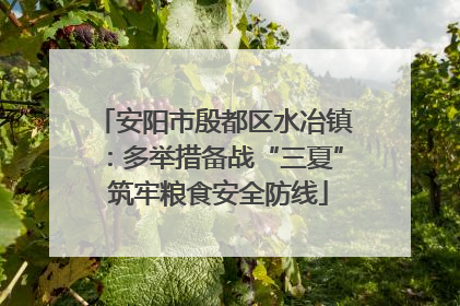 安阳市殷都区水冶镇：多举措备战“三夏” 筑牢粮食安全防线