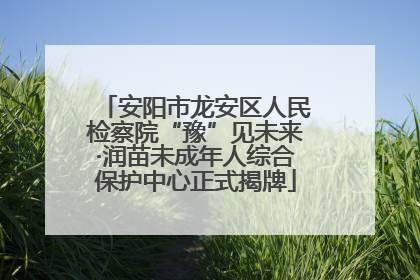 安阳市龙安区人民检察院“豫”见未来·润苗未成年人综合保护中心正式揭牌