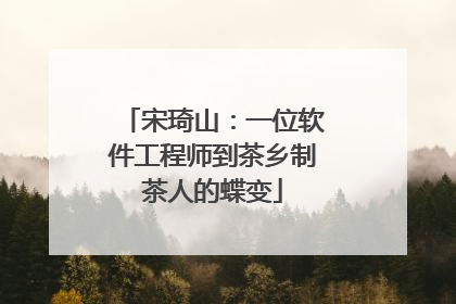 宋琦山：一位软件工程师到茶乡制茶人的蝶变