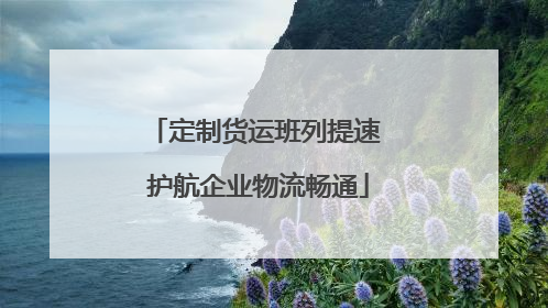 定制货运班列提速 护航企业物流畅通