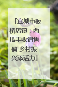 宜城市板桥店镇：西瓜丰收销售俏 乡村振兴添活力