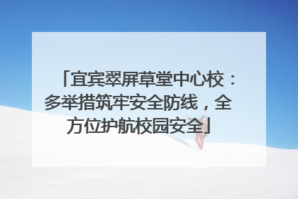 宜宾翠屏草堂中心校：多举措筑牢安全防线，全方位护航校园安全