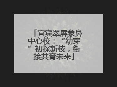 宜宾翠屏象鼻中心校：“幼芽”初探新枝，衔接共育未来