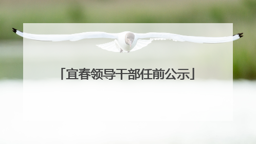 宜春领导干部任前公示