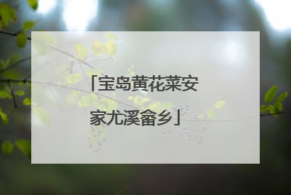 宝岛黄花菜安家尤溪畲乡