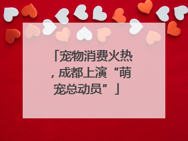 宠物消费火热，成都上演“萌宠总动员”