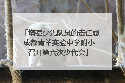 增强少先队员的责任感 成都青羊实验中学附小召开第六次少代会