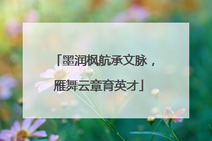 墨润枫航承文脉，雁舞云章育英才