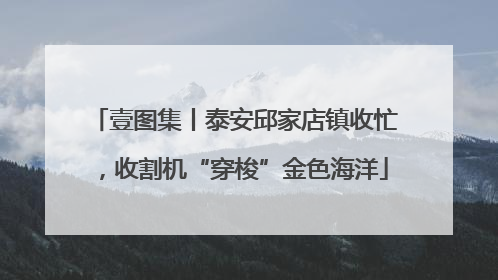壹图集丨泰安邱家店镇收忙，收割机“穿梭”金色海洋