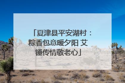 夏津县平安湖村：粽香包意暖夕阳 艾锤传情敬老心