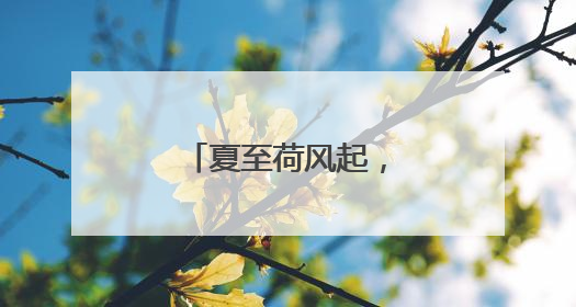 夏至荷风起，石门绘新景