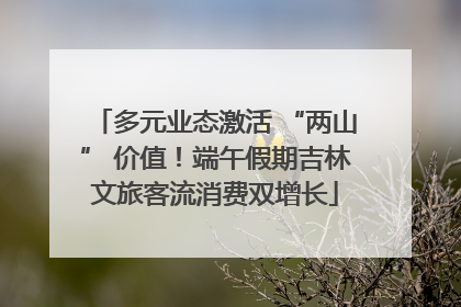 多元业态激活 “两山” 价值！端午假期吉林文旅客流消费双增长