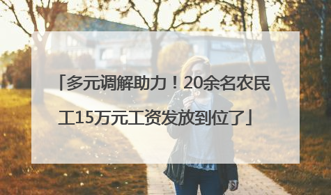 多元调解助力！20余名农民工15万元工资发放到位了