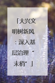 大兴文明树新风：深入基层治理“末梢”